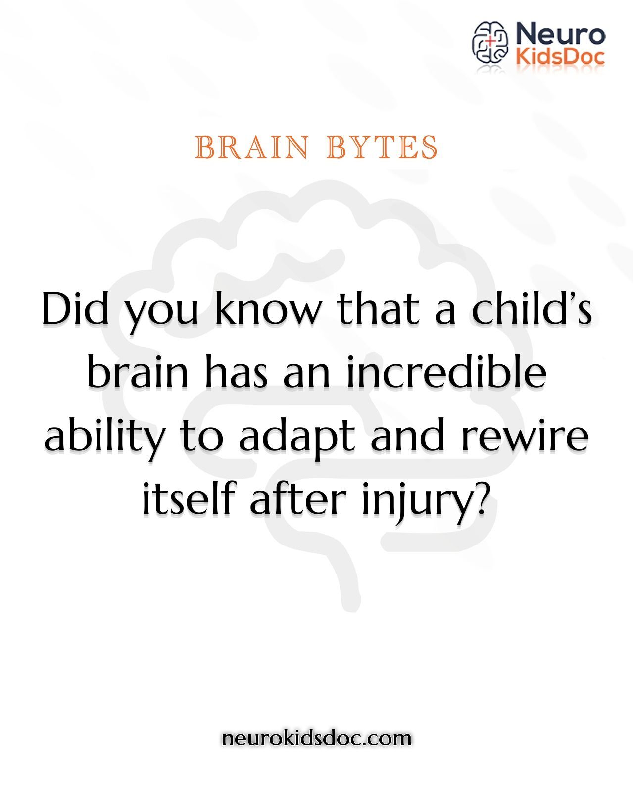 child’s brain