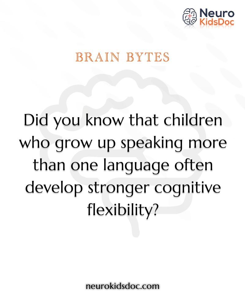 multilingual brain
