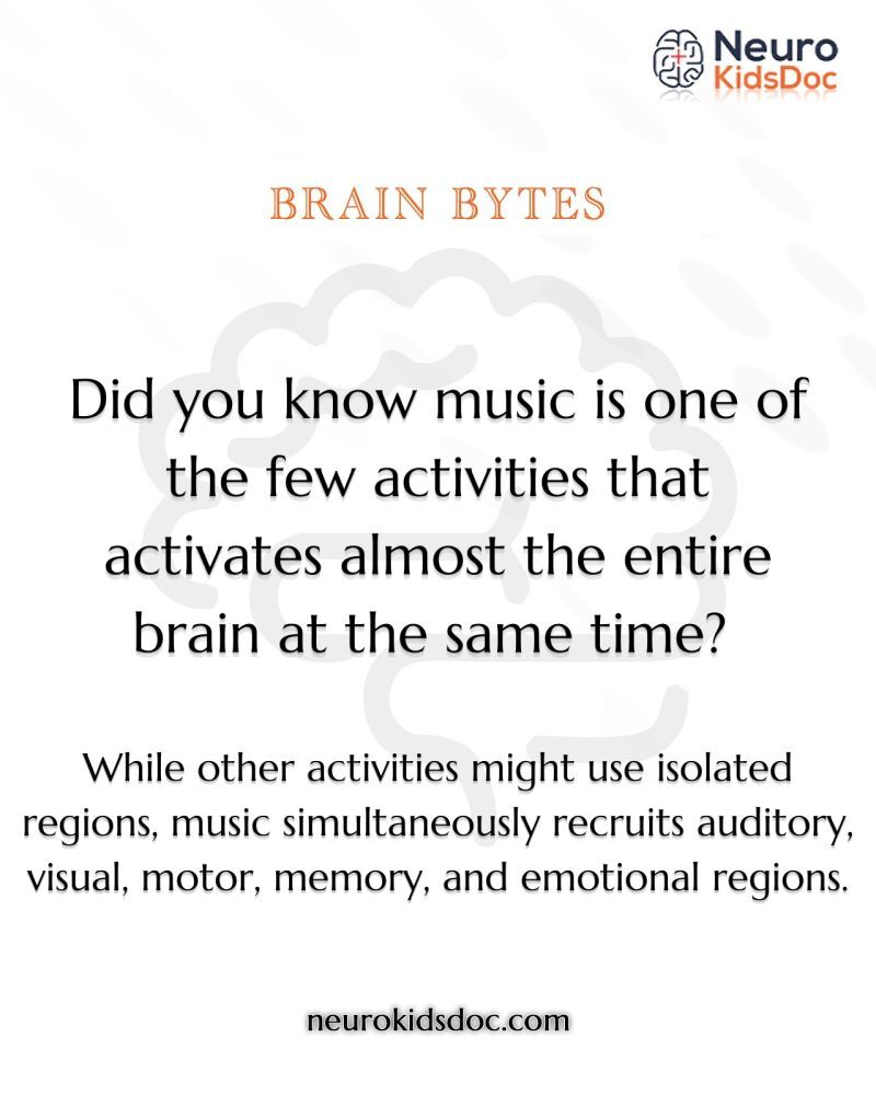 brain development
