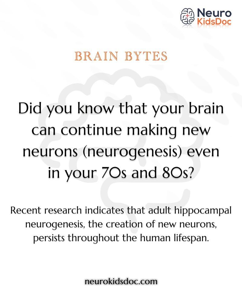 growing brains