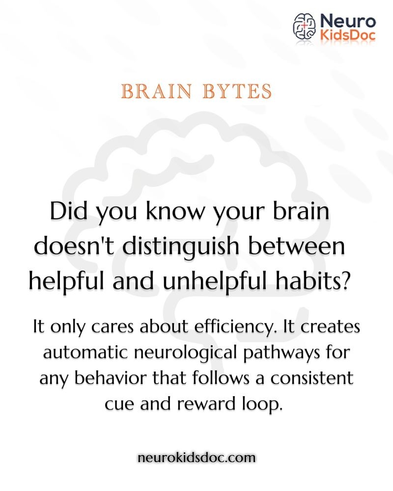 Neuroplasticity