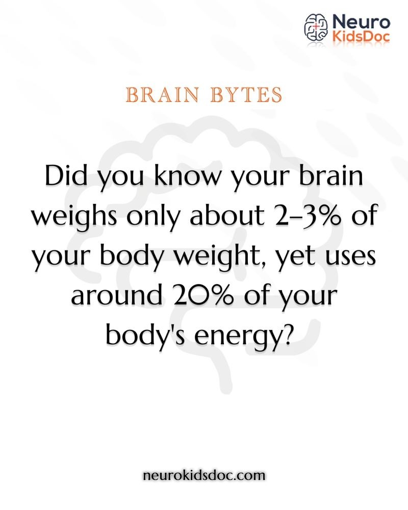 brain health