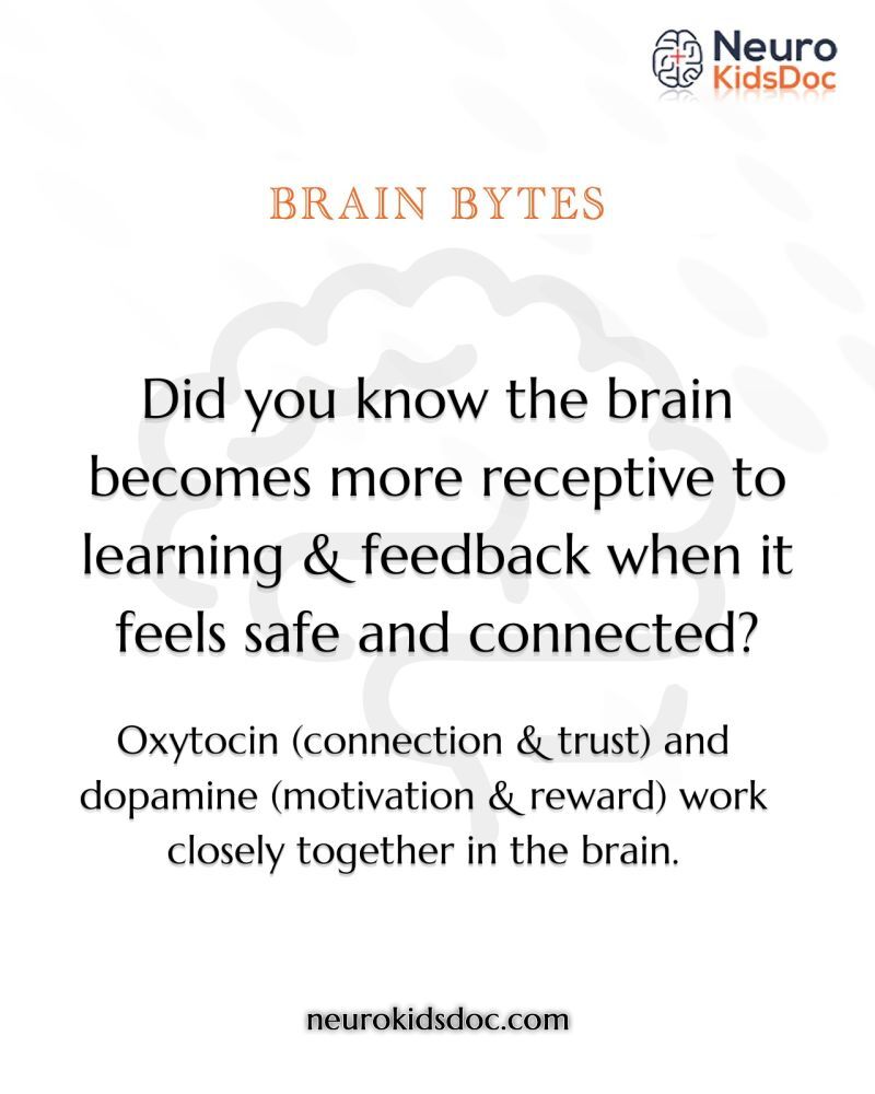 brain
