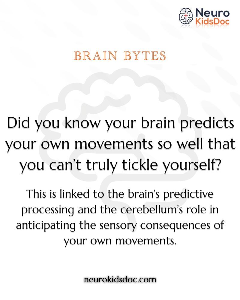 Brain-Predicts