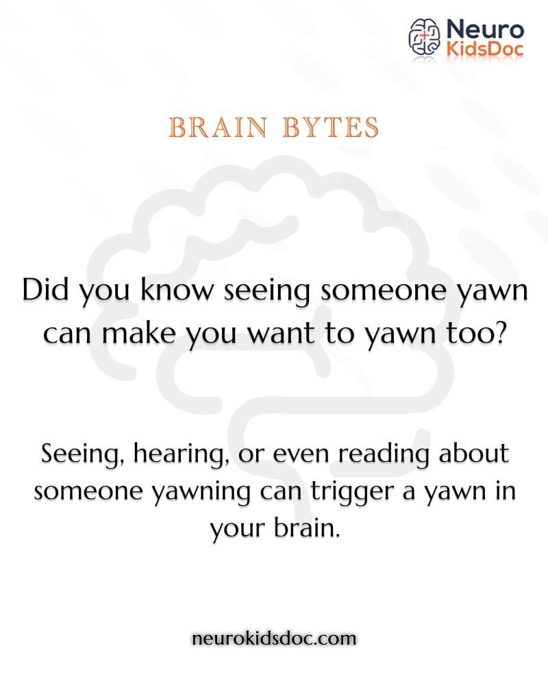 yawn